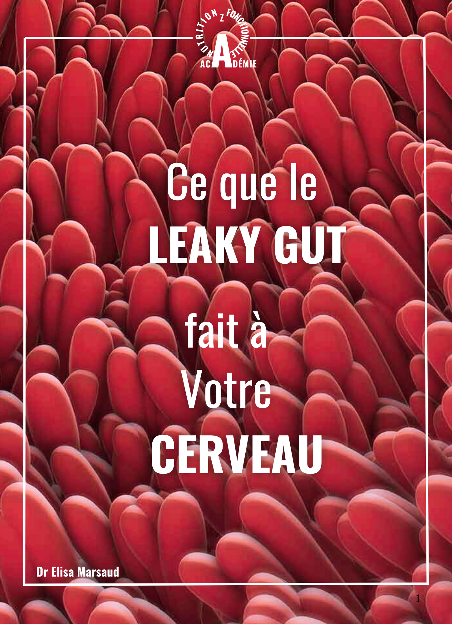 Ce que le Leaky Gut fait à votre Cerveau