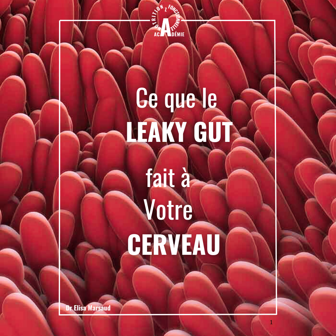 Ce que le Leaky Gut fait à votre Cerveau